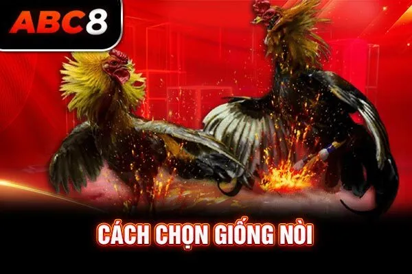 Cách chọn giống nòi Cách chọn giống nòi