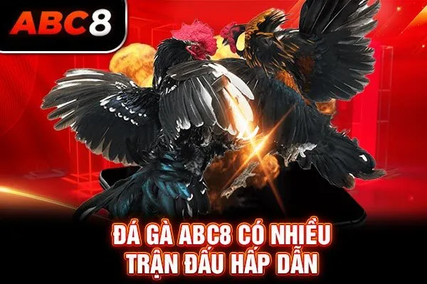 Đá gà ABC8 có nhiều trận đấu hấp dẫn Đá gà ABC8 có nhiều trận đấu hấp dẫn
