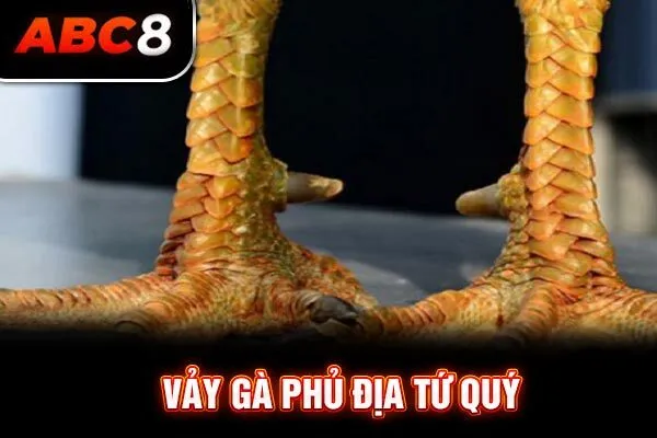 Vảy gà phủ địa tứ quý Vảy gà phủ địa tứ quý